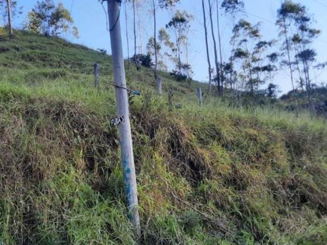 Sítio e chácara venda em Região Imediata de São Paulo, Região Metropolitana de São Paulo