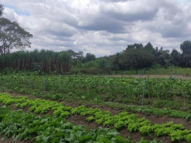 Terreno venda em Região Geográfica Imediata de Belo Horizonte, Região Metropolitana de Belo Horizonte