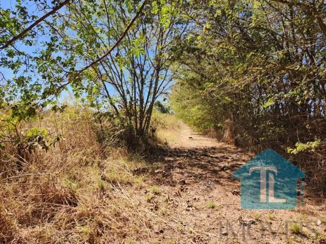 Fazenda venda em Região Geográfica Imediata do Distrito Federal, Região Integrada de Desenvolvimento do Distrito Federal e Entorno