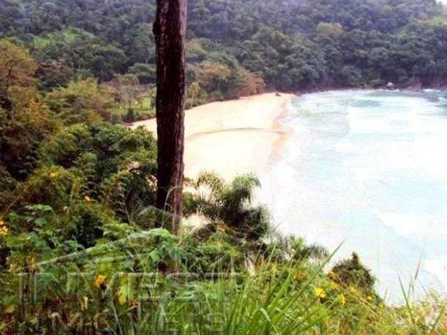 Terreno venda em Ubatuba