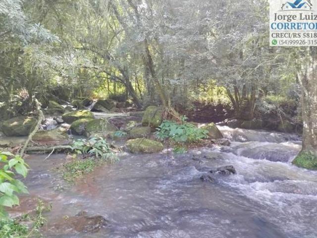Sítio e chácara venda em Região Geográfica Imediata de Caxias do Sul, Nova Petrópolis