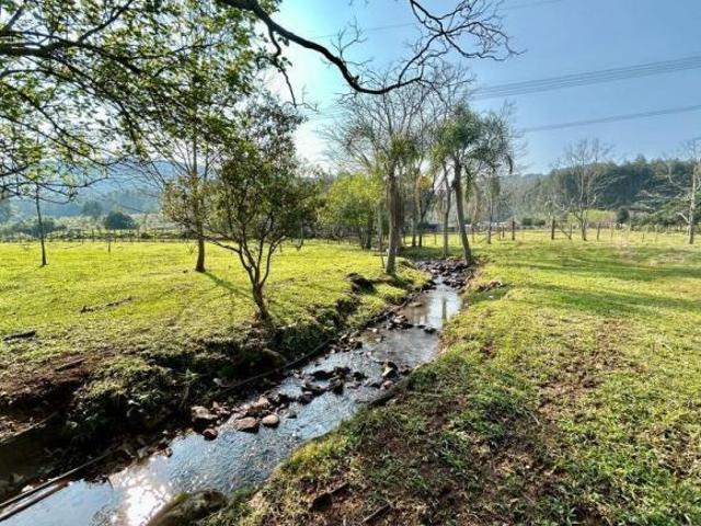 Sítio e chácara venda em Região Geográfica Imediata de Novo Hamburgo - São Leopoldo, Região Metropolitana de Porto Alegre