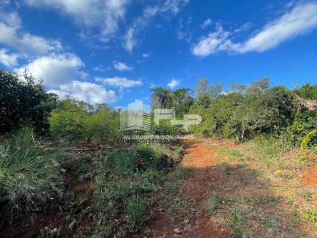 Sítio e chácara venda em Região Geográfica Imediata de Caxias do Sul, Alto Feliz