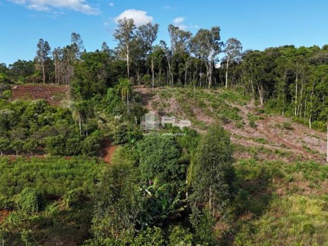 Sítio e chácara venda em Região Geográfica Imediata de Caxias do Sul, Alto Feliz