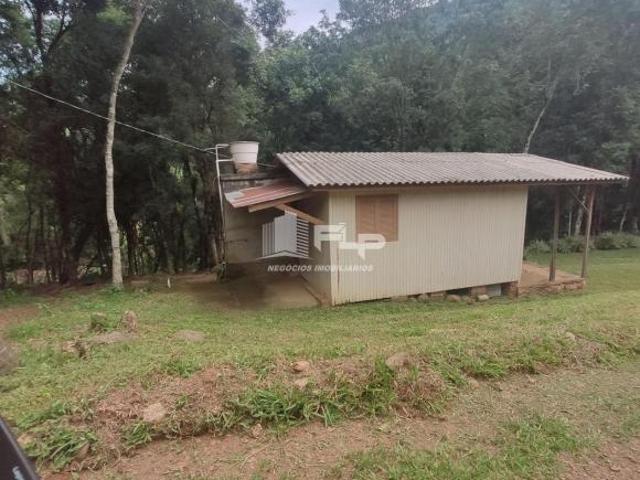 Sítio e chácara venda em Região Geográfica Imediata de Caxias do Sul, Vale Real