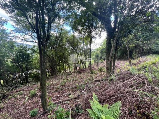 Sítio e chácara venda em Região Geográfica Imediata de Caxias do Sul, Feliz