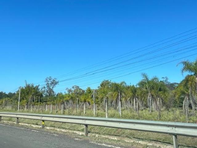 Terreno venda em Marques de Souza