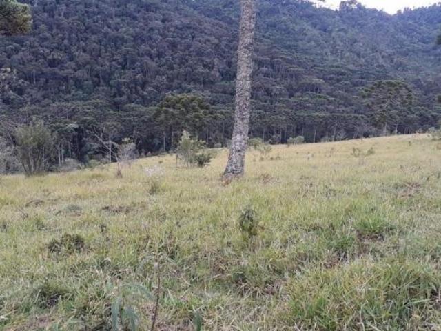Sítio e chácara venda em Região Geográfica Imediata de São Lourenço, Passa Quatro