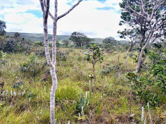 Ponto Comercial venda em Região Geográfica Imediata de Flores de Goiás, Alto Paraíso de Goiás