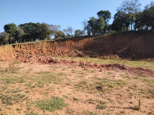 Terreno venda em Estiva