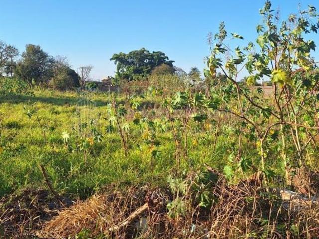 Terreno venda em Região Geográfica Imediata de Campo Grande, Campo Grande