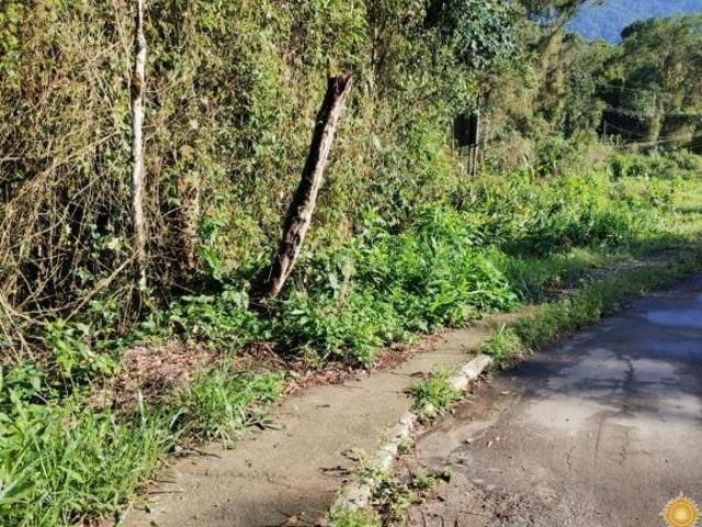 Terreno venda em Ubatuba