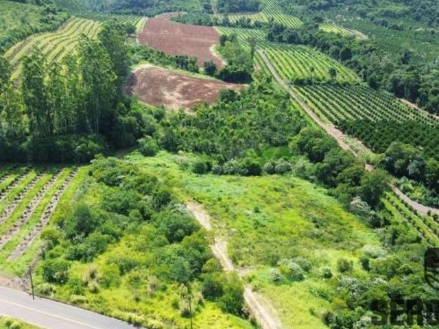 Sítio e chácara venda em Região Geográfica Imediata de Montenegro, Pareci Novo