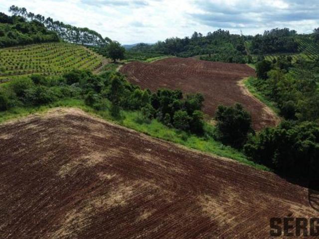 Sítio e chácara venda em Região Geográfica Imediata de Montenegro, Pareci Novo