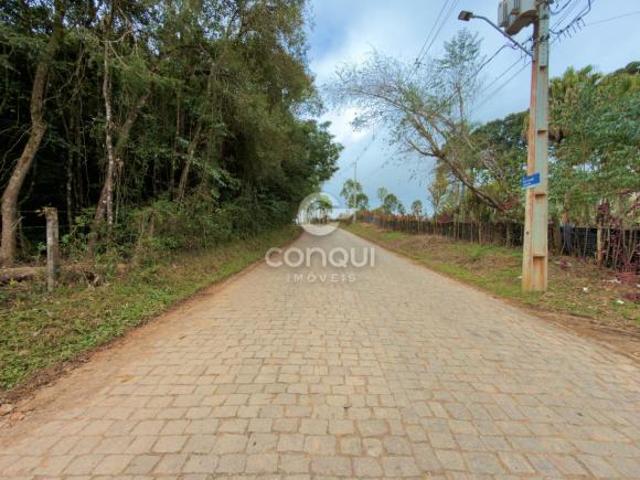 Sítio e chácara venda em Região Geográfica Imediata de Curitiba, Região Metropolitana de Curitiba