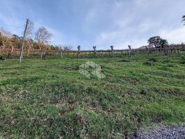 Sítio e chácara venda em Região Geográfica Imediata de Bento Gonçalves, Monte Belo do Sul