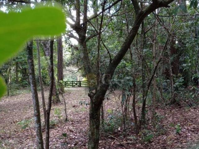 Terreno venda em Região Geográfica Imediata de Porto Alegre, Região Metropolitana de Porto Alegre