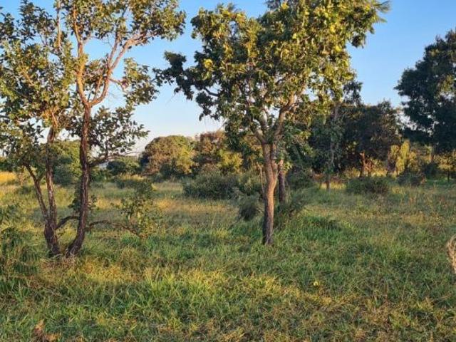 Terreno venda em Região Geográfica Imediata de Campo Grande, Campo Grande
