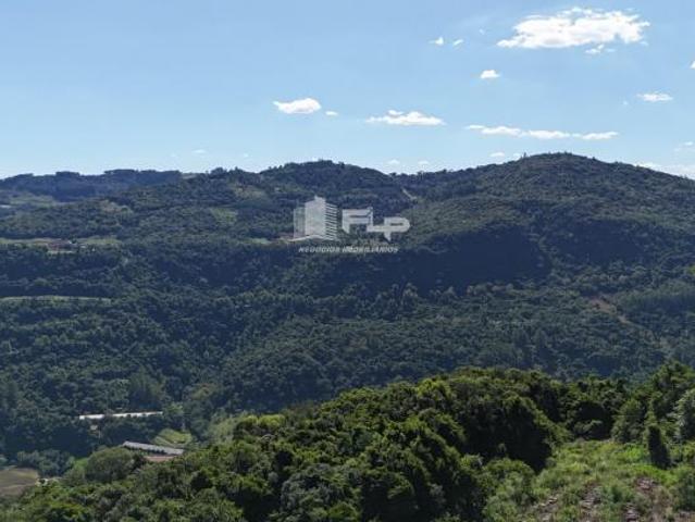 Sítio e chácara venda em Região Geográfica Imediata de Caxias do Sul, Picada Café