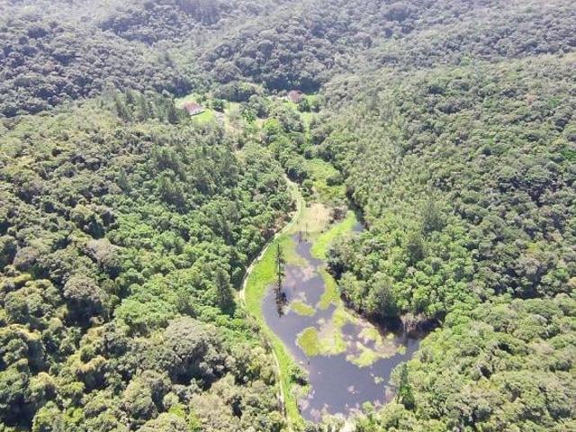 Sítio e chácara venda em Juquitiba