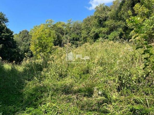 Sítio e chácara venda em Região Geográfica Imediata de Caxias do Sul, Feliz