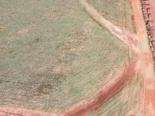 Sítio e chácara venda em Região Geográfica Imediata de Maringá, Presidente Castelo Branco