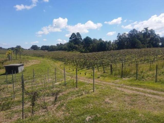 Sítio e chácara venda em Região Geográfica Imediata de Novo Hamburgo - São Leopoldo, Santa Maria do Herval