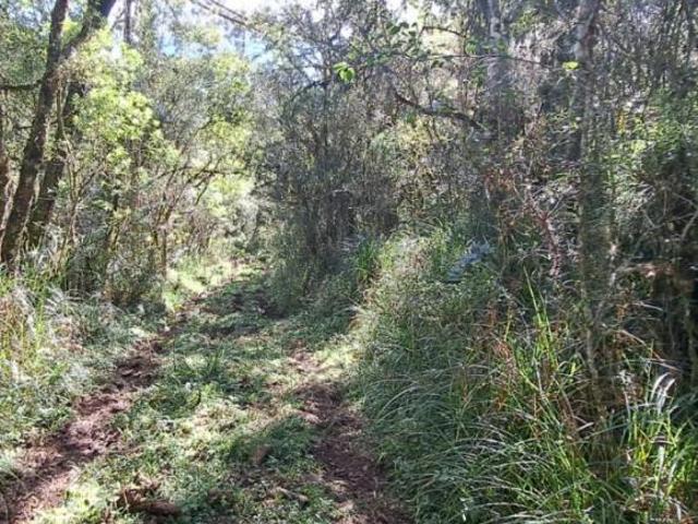 Terreno venda em Vacaria, Região Geográfica Intermediária de Caxias do Sul