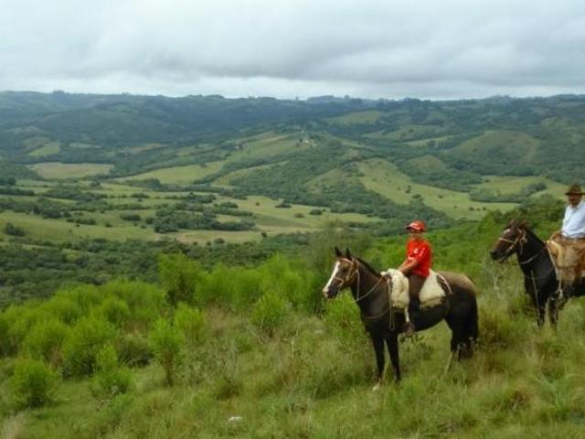 Sítio e chácara venda em Região Geográfica Imediata de São Gabriel - Caçapava do Sul, Santana da Boa Vista