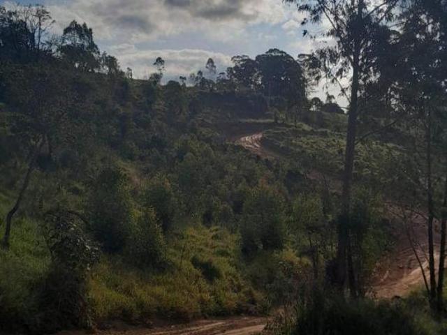 Terreno venda em Região Imediata de Sorocaba, Região Metropolitana de Sorocaba