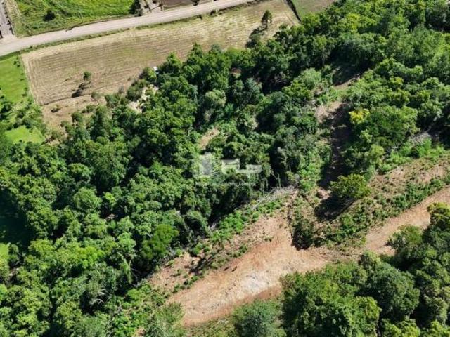 Sítio e chácara venda em Região Geográfica Imediata de Caxias do Sul, Feliz