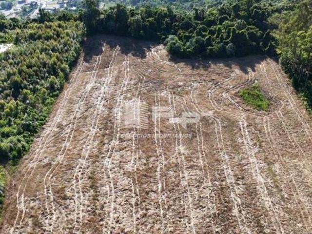 Sítio e chácara venda em Região Geográfica Imediata de Novo Hamburgo - São Leopoldo, São Vendelino