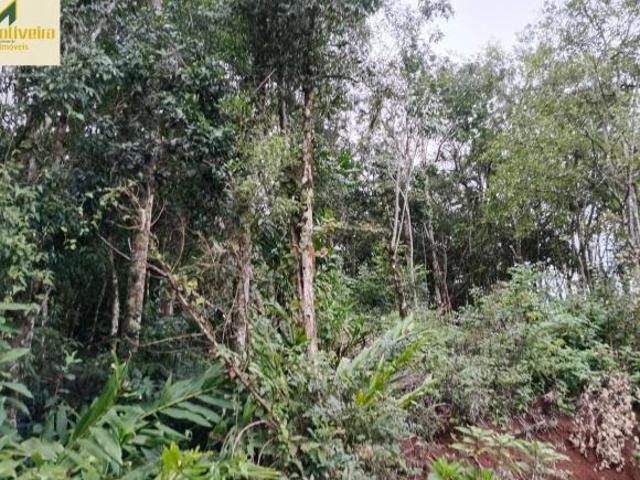 Terreno venda em Gramado
