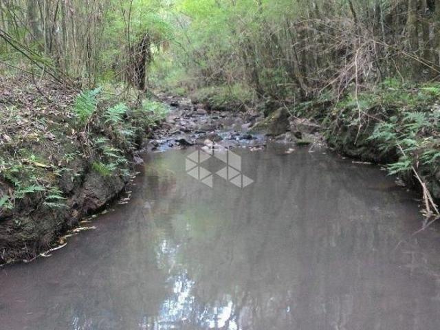 Sítio e chácara venda em Região Geográfica Imediata de Caxias do Sul, Antônio Prado