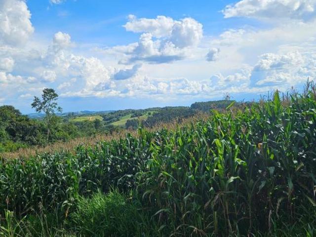 Sítio e chácara venda em Região Geográfica Imediata de Curitiba, Região Metropolitana de Curitiba