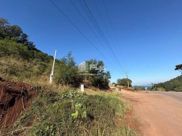 Sítio e chácara venda em Região Geográfica Imediata de Caxias do Sul, Alto Feliz
