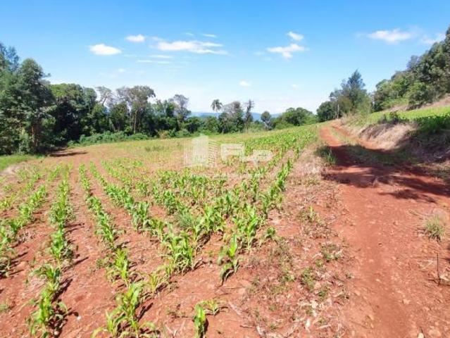 Sítio e chácara venda em Região Geográfica Imediata de Caxias do Sul, Alto Feliz