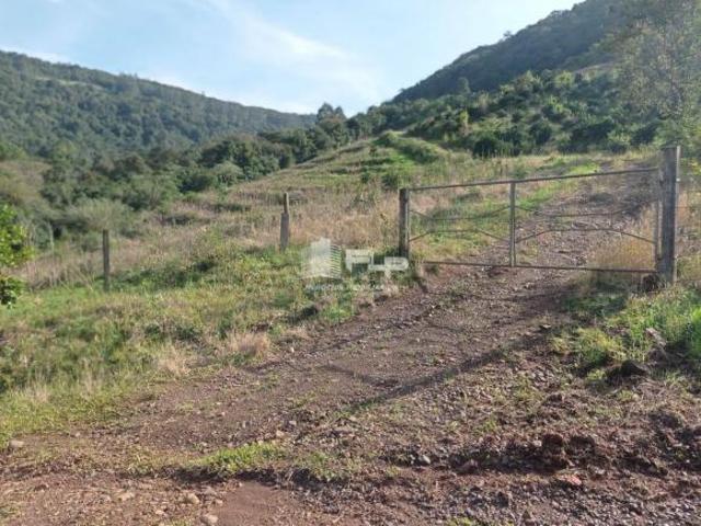 Sítio e chácara venda em Região Geográfica Imediata de Caxias do Sul, Vale Real