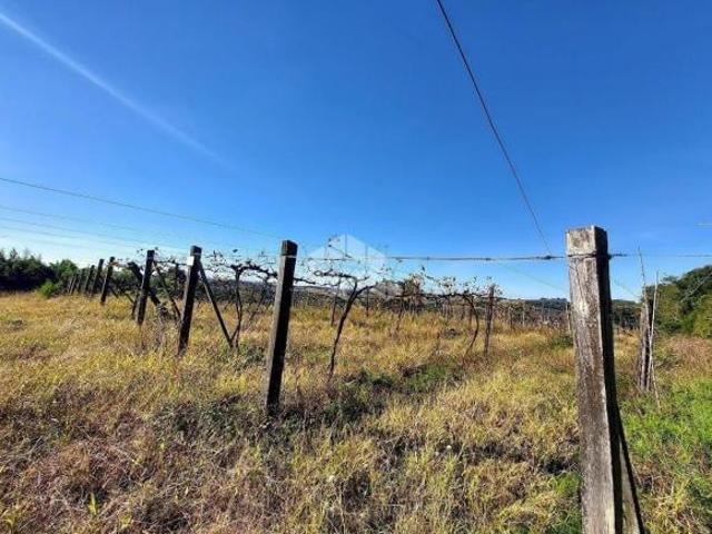 Sítio e chácara venda em Garibaldi