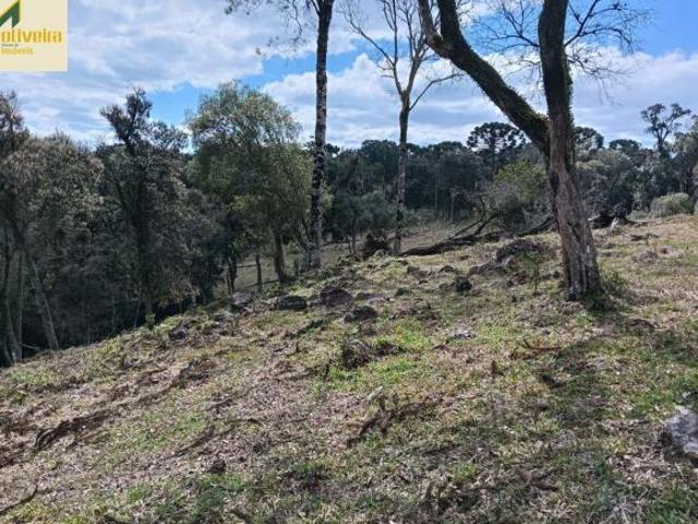 Sítio e chácara venda em Chapada, Jaquirana