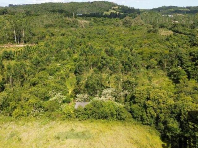 Sítio e chácara venda em Região Geográfica Imediata de Montenegro, Pareci Novo