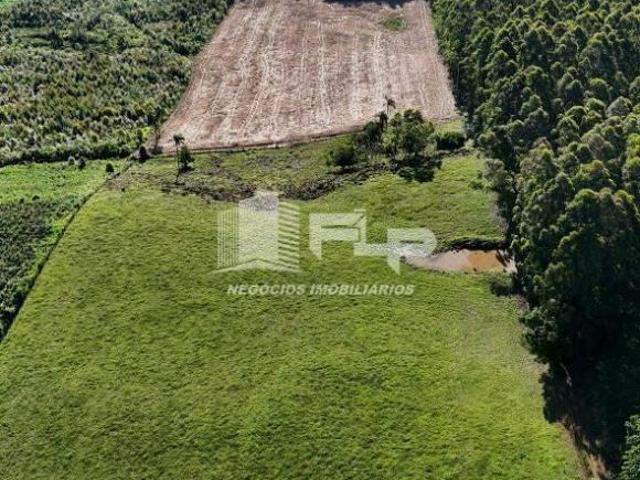 Sítio e chácara venda em São Vendelino