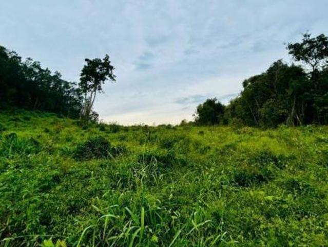 Sítio e chácara venda em Região Geográfica Imediata de Novo Hamburgo - São Leopoldo, Morro Reuter
