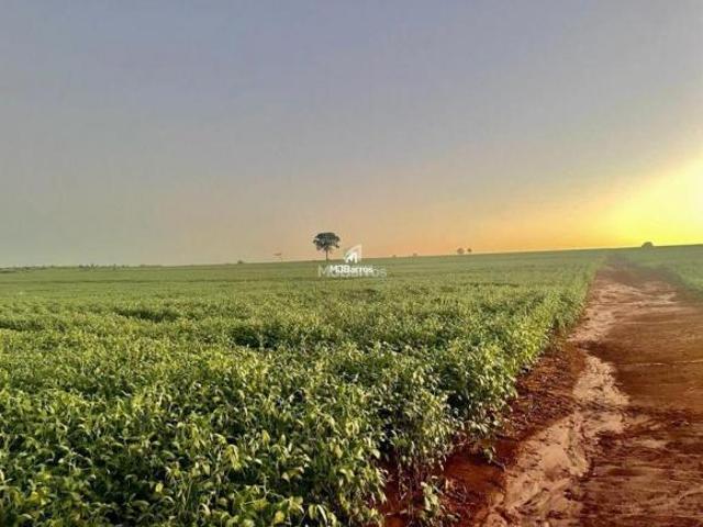 Sítio e chácara venda em Região Geográfica Imediata de Dourados, Caarapó