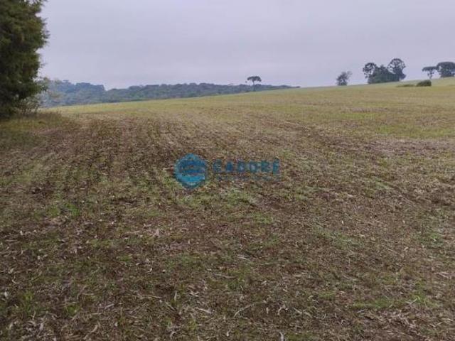 Terreno venda em Região Geográfica Imediata de Vacaria, Esmeralda