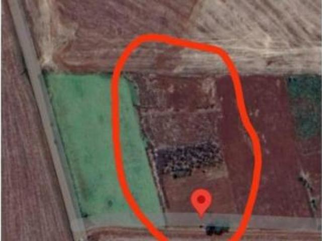 Sítio e chácara venda em Região Geográfica Imediata de Foz do Iguaçu, Santa Terezinha de Itaipu