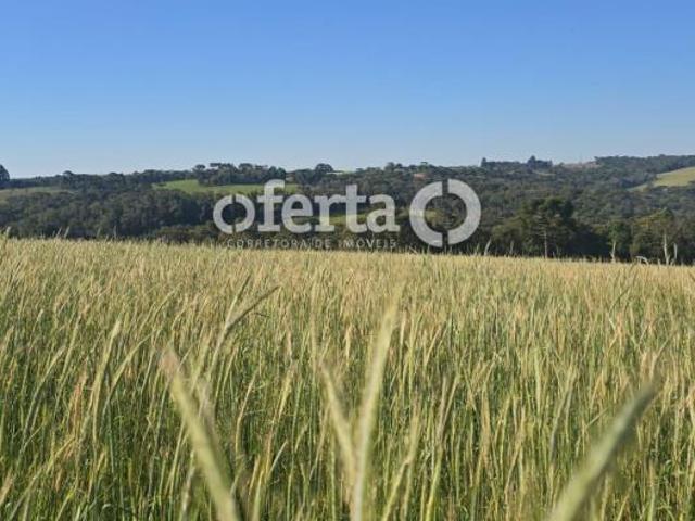 Sítio e chácara venda em Região Geográfica Imediata de Curitiba, Região Metropolitana de Curitiba