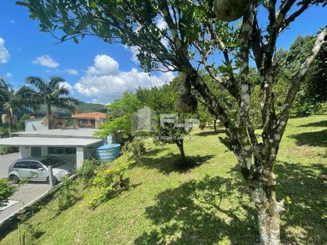Sítio e chácara venda em Região Geográfica Imediata de Caxias do Sul, Alto Feliz