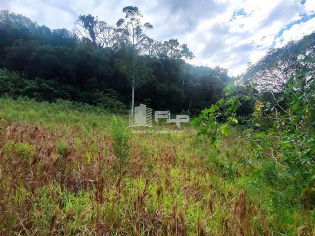 Sítio e chácara venda em Região Geográfica Imediata de Caxias do Sul, Feliz