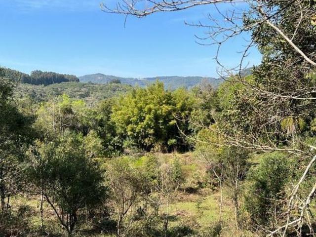 Sítio e chácara venda em Região Geográfica Imediata de Caxias do Sul, Gramado